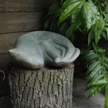 Jan Steen Frühstückspension Amsterdam